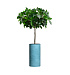 Кашпо CONCRETIKA CYLINDER BLUE SKY D30H60 заказать и купить с доставкой из магазина производителя Конкретика по цене 16 040 руб.
