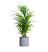Кашпо CONCRETIKA CYLINDER EROSIA WHITE D40H40 заказать и купить с доставкой из магазина производителя Конкретика по цене 16 590 руб.