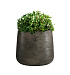 Кашпо CONCRETIKA CONE BREZENT GREY D32H36 заказать и купить с доставкой из магазина производителя Конкретика по цене 12 240 руб.