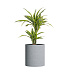 Кашпо CONCRETIKA CYLINDER EROSIA WHITE D60H65 заказать и купить с доставкой из магазина производителя Конкретика по цене 35 700 руб.