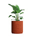 Кашпо CONCRETIKA CYLINDER XL EROSIA CORAL D80H85 заказать и купить с доставкой из магазина производителя Конкретика по цене 67 590 руб.