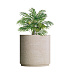 Кашпо CONCRETIKA CYLINDER XL EROSIA YELLOW D120H120 заказать и купить с доставкой из магазина производителя Конкретика по цене 154 320 руб.