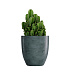 Кашпо CONCRETIKA VASE 3 OCEAN GREEN D50H55 заказать и купить с доставкой из магазина производителя Конкретика по цене 23 950 руб.