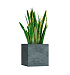 Кашпо CONCRETIKA CUBE OCEAN GREEN 40x40x40 заказать и купить с доставкой из магазина производителя Конкретика по цене 17 460 руб.