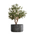 Кашпо CONCRETIKA CYLINDER XL CONCRETE GREY DARK D70H45 заказать и купить с доставкой из магазина производителя Конкретика по цене 37 250 руб.