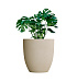 Кашпо CONCRETIKA VASE 3 SAHARA D75H82 заказать и купить с доставкой из магазина производителя Конкретика по цене 50 560 руб.