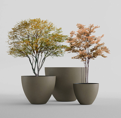 Кашпо CONCRETIKA UPON OLIVE D55H45 заказать и купить Кашпо CONCRETIKA UPON OLIVE D55H45 заказать и купить по цене 16 630 руб ниже рынка от производителя с доставкой.