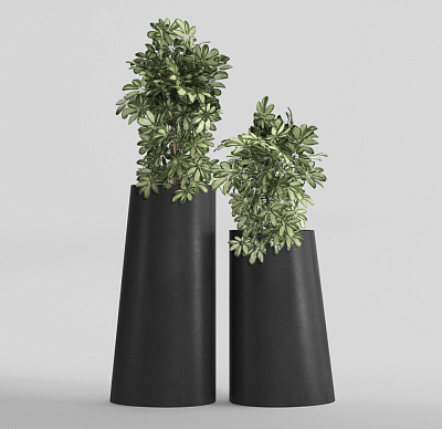 Кашпо CONCRETIKA DUET NERO D41H104 заказать и купить Кашпо CONCRETIKA DUET NERO D41H104 заказать и купить по цене 36 590 руб ниже рынка от производителя с доставкой.