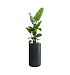 Кашпо CONCRETIKA TOPPER ANTHRACITE D40H90 заказать и купить с доставкой из магазина производителя Конкретика по цене 31 930 руб.