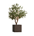 Кашпо CONCRETIKA CUBE EROSIA BROWN 50x50x50 заказать и купить с доставкой из магазина производителя Конкретика по цене 25 920 руб.
