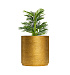 Кашпо CONCRETIKA CYLINDER XL RICH GOLD D100H105 заказать и купить с доставкой из магазина производителя Конкретика по цене 103 290 руб.