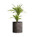 Кашпо CONCRETIKA CYLINDER TAUPE CONCRETE D60H65 заказать и купить с доставкой из магазина производителя Конкретика по цене 37 260 руб.