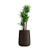 Кашпо CONCRETIKA CONE EROSIA BROWN D38H60 заказать и купить с доставкой из магазина производителя Конкретика по цене 24 240 руб.