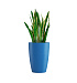 Кашпо CONCRETIKA CONUS DARK BLUE D48H60 заказать и купить с доставкой из магазина производителя Конкретика по цене 21 070 руб.