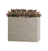 Кашпо CONCRETIKA DIVIDER EROSIA YELLOW 60x30x50 заказать и купить с доставкой из магазина производителя Конкретика по цене 28 060 руб.