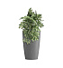Кашпо CONCRETIKA CONUS LONDON GREY D39H60 заказать и купить с доставкой из магазина производителя Конкретика по цене 16 630 руб.