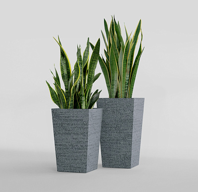 Кашпо CONCRETIKA CONIC EROSIA GREY 30x30x50 заказать и купить Кашпо CONCRETIKA CONIC EROSIA GREY 30x30x50 заказать и купить по цене 15 300 руб ниже рынка от производителя с доставкой.