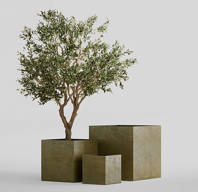 Кашпо CONCRETIKA CUBE AVOCADO 30x30x30 заказать и купить Кашпо CONCRETIKA CUBE AVOCADO 30x30x30 заказать и купить по цене 11 280 руб ниже рынка от производителя с доставкой.