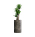 Кашпо CONCRETIKA CYLINDER BREZENT GREY D45H80 заказать и купить с доставкой из магазина производителя Конкретика по цене 34 600 руб.
