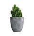 Кашпо CONCRETIKA VASE 3 CONCRETE GREY LIGHT D50H55 заказать и купить с доставкой из магазина производителя Конкретика по цене 23 950 руб.