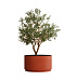 Кашпо CONCRETIKA CYLINDER XL TERRACOTTA D70H45 заказать и купить с доставкой из магазина производителя Конкретика по цене 31 050 руб.