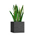 Кашпо CONCRETIKA CUBE EROSIA BLACK 40x40x40 заказать и купить с доставкой из магазина производителя Конкретика по цене 16 730 руб.