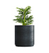 Кашпо CONCRETIKA CYLINDER XL ANTHRACITE D100H105 заказать и купить с доставкой из магазина производителя Конкретика по цене 107 780 руб.