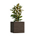 Кашпо CONCRETIKA CUBE EROSIA BROWN 70x70x70 заказать и купить с доставкой из магазина производителя Конкретика по цене 62 990 руб.