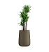 Кашпо CONCRETIKA CONE OLIVE D38H60 заказать и купить с доставкой из магазина производителя Конкретика по цене 21 070 руб.