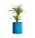 Кашпо CONCRETIKA CYLINDER COBALT BLUE D60H65 заказать и купить с доставкой из магазина производителя Конкретика по цене 35 080 руб.
