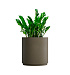 Кашпо CONCRETIKA CYLINDER XL OLIVE D70H80 заказать и купить с доставкой из магазина производителя Конкретика по цене 46 570 руб.
