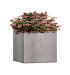 Кашпо CONCRETIKA CUBE CONCRETE WHITE 30x30x30 заказать и купить с доставкой из магазина производителя Конкретика по цене 11 970 руб.
