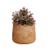 Кашпо CONCRETIKA CONE CLASSIC CLAY D24H26 заказать и купить с доставкой из магазина производителя Конкретика по цене 6 270 руб.