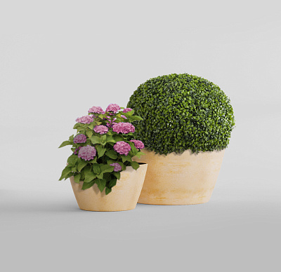 Кашпо CONCRETIKA BOWL LEMON D52H29 заказать и купить Кашпо CONCRETIKA BOWL LEMON D52H29 заказать и купить по цене 12 530 руб ниже рынка от производителя с доставкой.