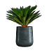 Кашпо CONCRETIKA CONE OCEAN GREEN D50H54 заказать и купить с доставкой из магазина производителя Конкретика по цене 29 280 руб.