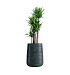 Кашпо CONCRETIKA CONE OCEAN GREEN D38H60 заказать и купить с доставкой из магазина производителя Конкретика по цене 25 280 руб.