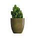 Кашпо CONCRETIKA VASE 3 AVOCADO D50H55 заказать и купить с доставкой из магазина производителя Конкретика по цене 22 550 руб.