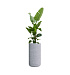 Кашпо CONCRETIKA TOPPER EROSIA WHITE D40H90 заказать и купить с доставкой из магазина производителя Конкретика по цене 30 600 руб.