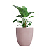 Кашпо CONCRETIKA VASE 3 COCOA D90H95 заказать и купить с доставкой из магазина производителя Конкретика по цене 77 840 руб.