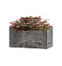 Кашпо CONCRETIKA BALCONY CONCRETE GREY DARK 40x20x20 заказать и купить с доставкой из магазина производителя Конкретика по цене 7 990 руб.