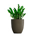 Кашпо CONCRETIKA VASE 3 OLIVE D60H65 заказать и купить с доставкой из магазина производителя Конкретика по цене 34 050 руб.