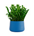 Кашпо CONCRETIKA CONE DARK BLUE D60H42 заказать и купить с доставкой из магазина производителя Конкретика по цене 24 390 руб.