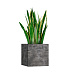 Кашпо CONCRETIKA CUBE CONCRETE GREY DARK 40x40x40 заказать и купить с доставкой из магазина производителя Конкретика по цене 17 460 руб.