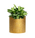 Кашпо CONCRETIKA CYLINDER RICH GOLD D30H30 заказать и купить с доставкой из магазина производителя Конкретика по цене 10 200 руб.