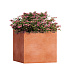 Кашпо CONCRETIKA CUBE RED CLAY 30x30x30 заказать и купить с доставкой из магазина производителя Конкретика по цене 11 280 руб.