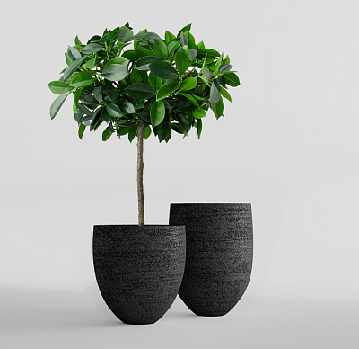 Кашпо CONCRETIKA BARREL EROSIA BLACK D44H48 заказать и купить Кашпо CONCRETIKA BARREL EROSIA BLACK D44H48 заказать и купить по цене 17 850 руб ниже рынка от производителя с доставкой.