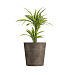 Кашпо CONCRETIKA CRATER SMOKEY GREY D50H75 заказать и купить с доставкой из магазина производителя Конкретика по цене 30 600 руб.