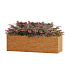 Кашпо CONCRETIKA BALCONY EROSIA OCHRE 60x20x20 заказать и купить с доставкой из магазина производителя Конкретика по цене 10 200 руб.
