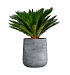 Кашпо CONCRETIKA CONE CONCRETE GREY LIGHT D50H54 заказать и купить с доставкой из магазина производителя Конкретика по цене 29 280 руб.