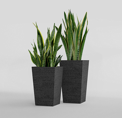 Кашпо CONCRETIKA CONIC EROSIA BLACK 40x40x70 заказать и купить Кашпо CONCRETIKA CONIC EROSIA BLACK 40x40x70 заказать и купить по цене 28 060 руб ниже рынка от производителя с доставкой.